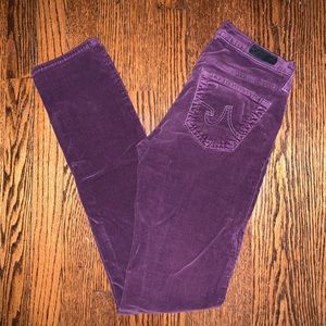 AG Purple Courderoy Pants